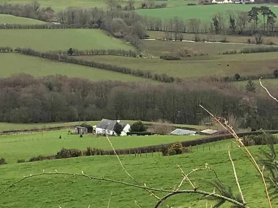 Stunning Shepherds Hut Rural Bliss Dumfries Exterior photo